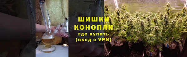 ешки Арсеньев