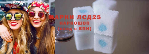 гашик Балахна