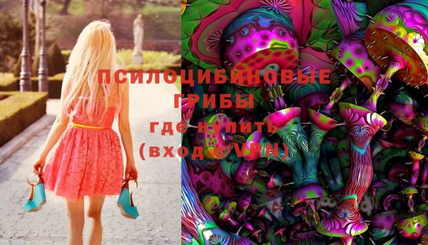 прущие крисы Аркадак