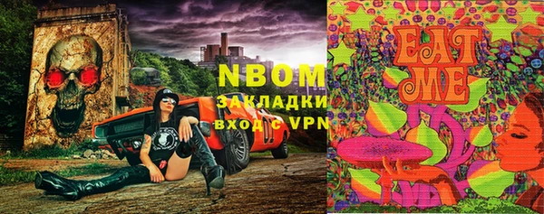 крисы Баксан