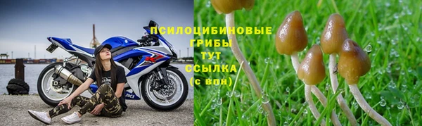 ALPHA-PVP Армянск