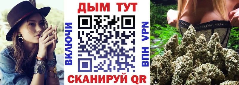 shop наркотические препараты  Баксан  Каннабис сатива 